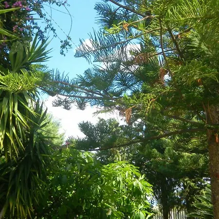 Trabihouse فيلة تْرابْيا