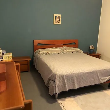 فيلة Trabihouse