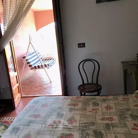 Trabihouse تْرابْيا