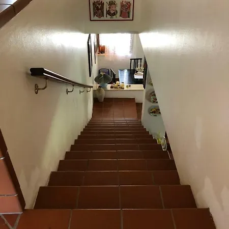 فيلة Trabihouse