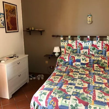 فيلة Trabihouse