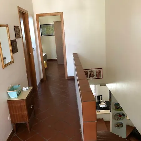 فيلة Trabihouse تْرابْيا