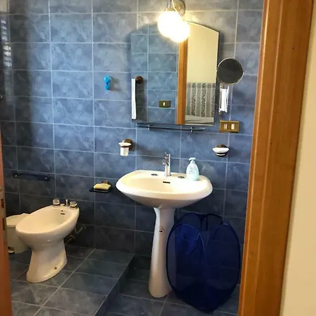 فيلة Trabihouse تْرابْيا