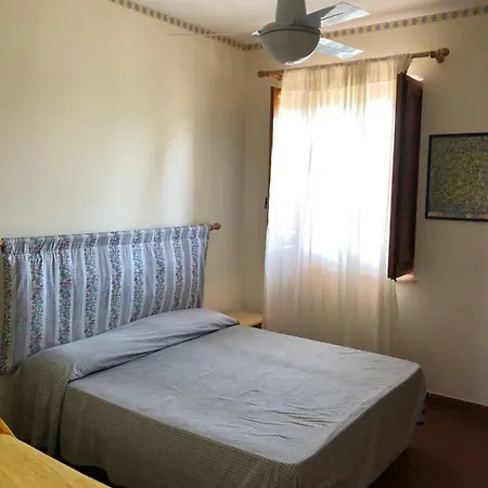فيلة Trabihouse