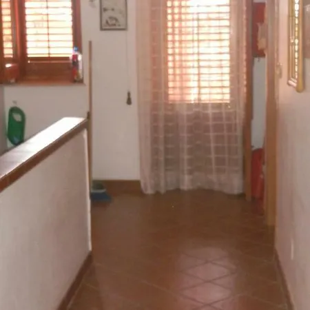 Trabihouse