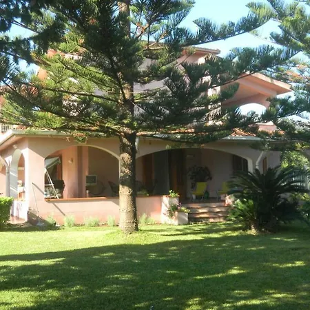 فيلة Trabihouse