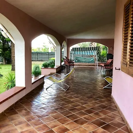 Trabihouse فيلة *